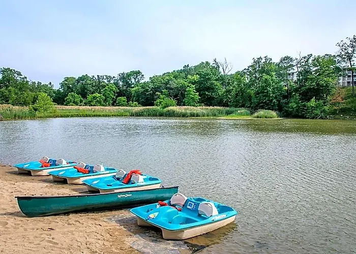 Club Vacations Fox River At 3* Sheridan